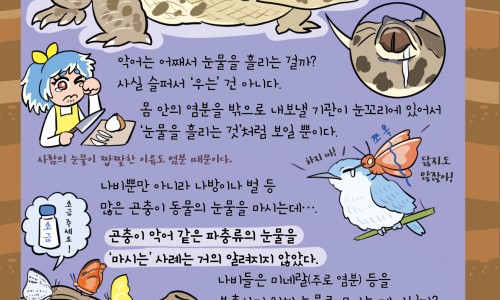 两个月宝宝摁他头芯子了没事吧网 - 为你提供2个月宝宝轻轻碰到头有事吗、2个月宝宝头心碰了怎么办